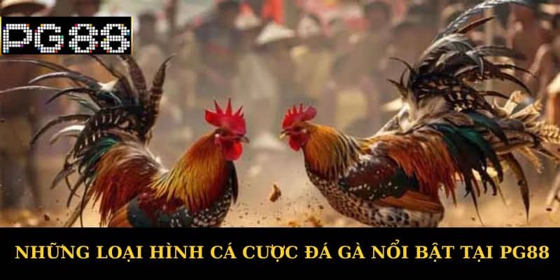 Những loại hình cá cược đá gà nổi bật tại PG88