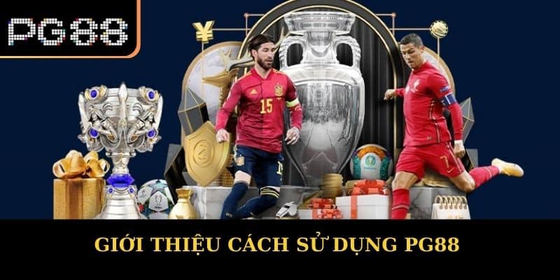 Giới thiệu cách sử dụng PG88